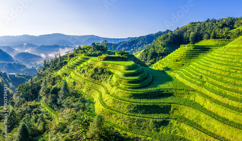 Tableau sur toile Majestic green rice terraces on a mountain slope in Guilin, China under a clear blue sky
