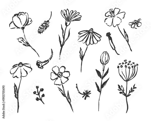 Hand-drawn flowers 6