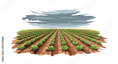Vast Agricultural Field with Rows of Green Crops Under a Dark Dramatic Stormy Sky