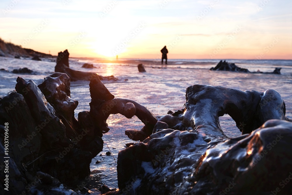 custom made wallpaper toronto digitalFlooded forest with trunks of ancient trees (3000 years old) on the beach Lazy around Koszalin, Baltic Sea, West Pomeranian Voivodeship, Poland.Little silhouette of walking person on beach.
