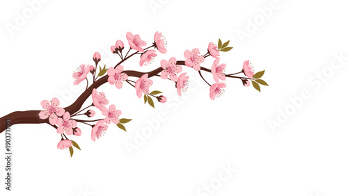 Elegant cherry blossom branch covered in delicate pink flowers and green leaves symbolizes spring and beauty in a simple illustration.