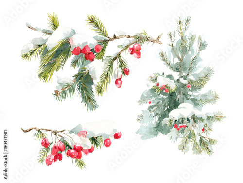 Wallpaper Mural Snowy pine and berry watercolor elements. AI generated Torontodigital.ca