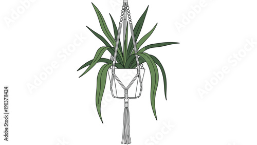 Elegant indoor plant hanging from a handcrafted white macrame plant holder ideal for home decoration and bohemian style decor.
