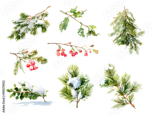 Wallpaper Mural Snowy pine and berry watercolor elements. AI generated Torontodigital.ca
