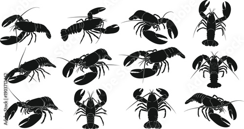 Black silhouettes of lobsters in various poses seafood crustaceans animal white background