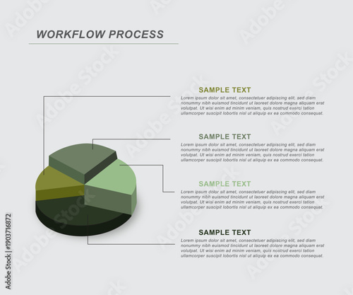 workflow process infographic with 3d pie chart design. modern business visualization showing structured workflow steps, data distribution, and process explanation. ideal for corporate presentations, r