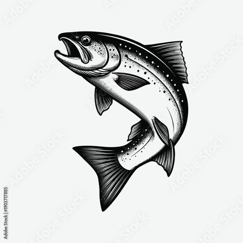 Salmon Fish Jumping Vintage Engraving Vector