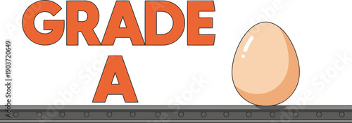 A Grade A egg rests on a conveyor belt, showcasing a clear, bright classification. Bold text and simple design for commercial use.