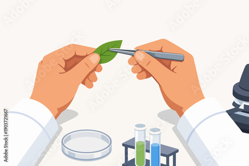 Scientist studying plant leaf in laboratory research, preparing for experiment