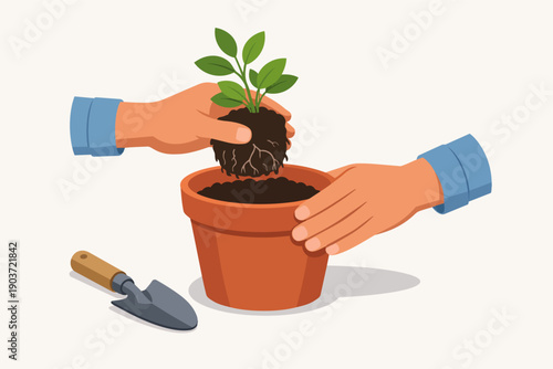 Hands planting a young green sprout in a terracotta pot with soil
