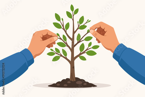 Hands nurturing small tree, symbolizing growth, gardening, and environmental care
