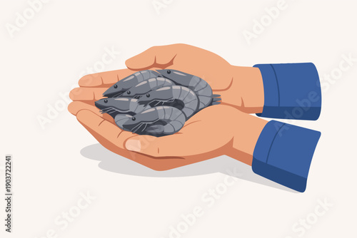 Hands holding fresh raw shrimp, representing seafood harvesting and abundance