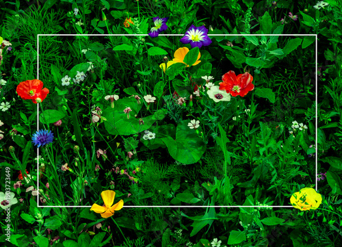 Abstrakter leere Weisser Rahmen in bunten Blumen