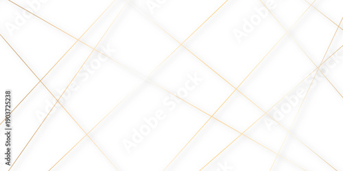 Random chaotic lines like abstract geometric pattern or texture. geometric design created using light colorful digital net web line technology. abstract white futuristic background.