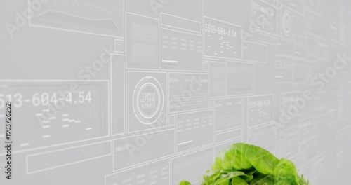 Showing lettuce plant with bright green leaves at lab wall of translucent data panels, copy space