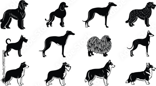 Set of dog breed silhouettes cad drawing flat vector illustration, isolated on white background, various domestic canine pets, animal shelter icons set. (Exactly 22 words)