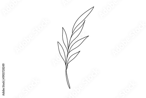 Elegant Greenery. Minimalistic one-line drawing slender botanical leaf with elongated form and gentle bend, continuous