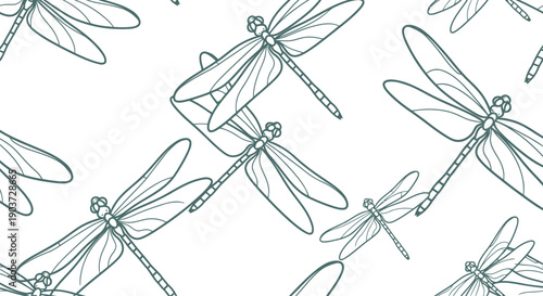 Dragonfly seamless pattern vector clipart, hand drawn insect outline, repeating background