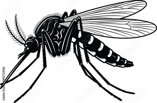 Detailed mosquito insect cad drawing flat vector illustration, isolated on white background, pest control symbol, tropical disease carrier, biology science education icon. (Exactly 22 words)