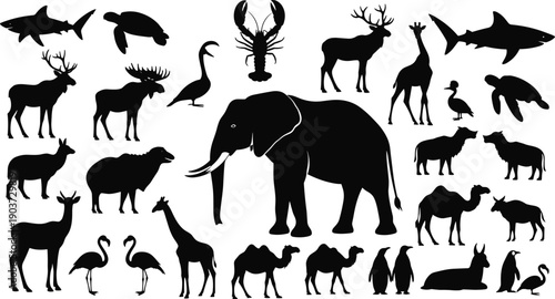 Wildlife, animal, silhouettes, collection, mammals, birds, fish, elephant, giraffe, deer, camel, penguin, shark, nature, fauna, safari, zoo, isolated, black, vector