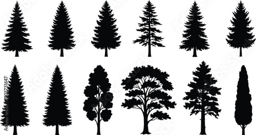 Tree silhouette collection featuring pine fir spruce and deciduous forest shapes, natural woodland botanical icons illustration isolated on white background for stock design