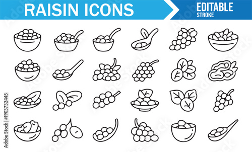 Editable Raisin Line Art Icon Collection