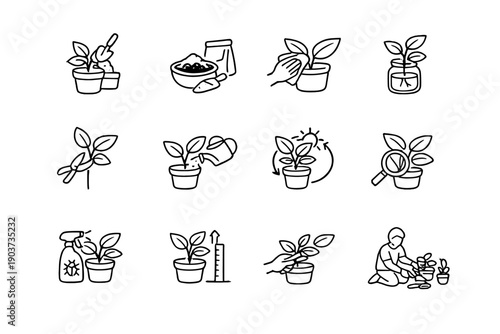 Indoor gardening activities. Line outline icon set of Indoor gardening activities: repotting plant, soil mixing, leaf