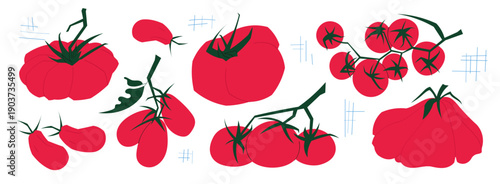 Red Tomatoes Vector Illustration Set