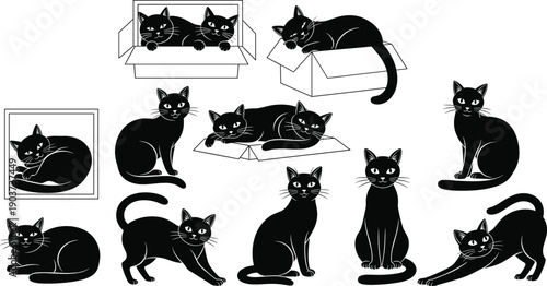 Black cat illustration set featuring cute feline characters in sitting, lying, and playful poses with box scenes in flat vector style