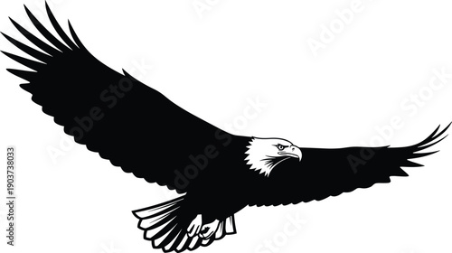 Eagle silhouette flying, bald eagle spread wings illustration, wildlife bird predator symbol, freedom power nature vector isolated black logo design