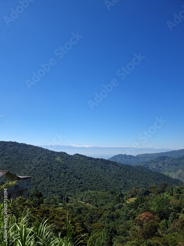 Mountain landscape with green forest under blue sky