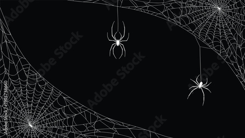 Two spiders hanging from white spider webs across the corners of a solid black background for Halloween spooky design.