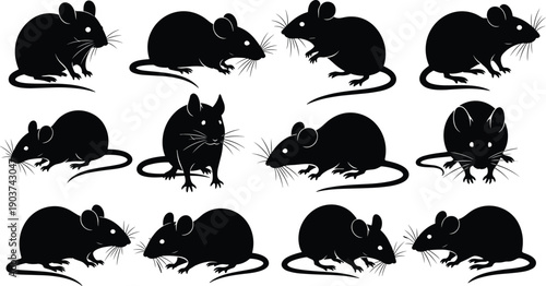 Set of 12 mouse silhouette icons showing varied poses, whiskers, tails, and distinct orientations for educational or illustrative use