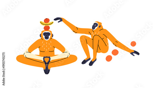 Curious monkey disturbs another one practicing yoga. Gibbon meditates in lotus pose. Primate is in asana with fruits. Jungle animals have fun. Flat isolated vector illustration on white background