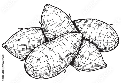 Fresh taro root vegetables in a group