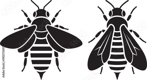 Silhouette of bee vector of wildlife and insect