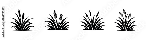 Silhouette grass and plant icons set, flat vector illustration