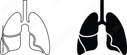 Human lungs anatomy illustration with trachea and bronchi in medical education context