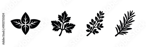 Herbs and leaves silhouette collection, flat vector illustration