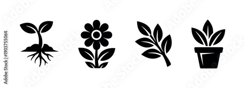 Plant growth stages and potted plant silhouettes, flat vector illustration