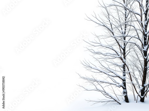 Snowy tree in winter landscape winter background
