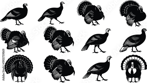 Wild turkey silhouette set, black bird vector collection, thanksgiving poultry icons, isolated farm animal shapes for design illustration, gobbler, autumn, nature, hunt.