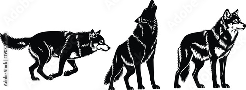 Set of three wolf silhouettes, black and white vector illustration, walking, howling and standing wolves, wild animal collection isolated on white background