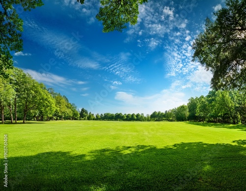expansive green park sunlit meadow lush trees framing view vibrant grass blue sky with wispy clouds serene landscape summer day nature photography wide angle shot high contrast vivid colors