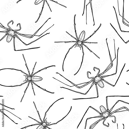 Spider outline seamless pattern on white background. Black white scary insects vector print design for textile, wrapping, Halloween theme. Repeat background creepy animals drawn engraved style.