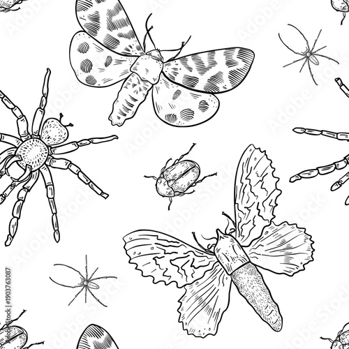 Vector Seamless pattern with black white sketch nocturnal butterflies and tarantula. Monochrome moth, beetle and spider on endless background. Outline insects drawing for fabric print, wrapping paper.