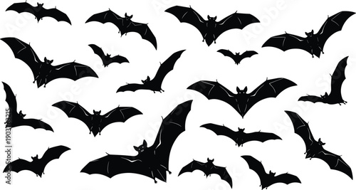 Flying bat silhouette set, black mammal vector collection, isolated spooky halloween animal icons for horror design illustration, night, wing, vampire, dark, gothic, art.
