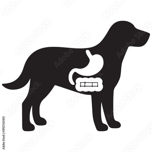 Dog anatomy illustration showing digestive system