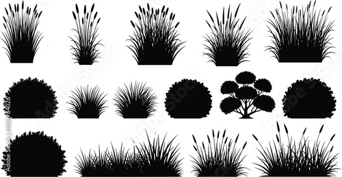 Bush and grass silhouette set, black shrub vector collection, isolated garden hedge icons, wild nature plant for landscape design illustration, reed, marsh.