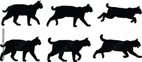 Bobcat silhouette set, black lynx vector collection, isolated wild predator animal icons for nature design illustration, running, walking, hunter, mammal, zoo, fur.